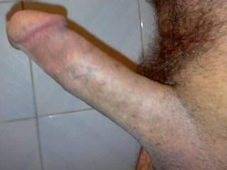 need a pussy
