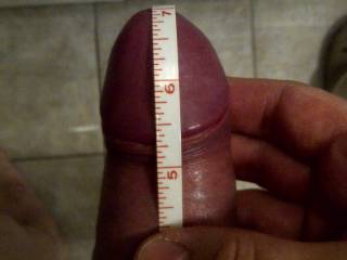 7" inches, what do you think about this?