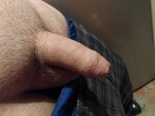 Uncut penis