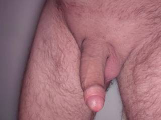 Cock