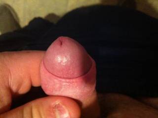 Chubby cock here small but hard worker