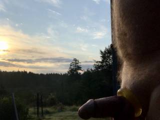 Early morning hard penis, ready to start the day.