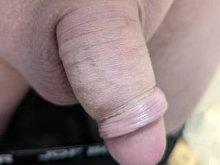 My shaved cock
