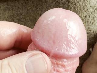Making my cock leak precum. tastes wonderful. who loves precum?