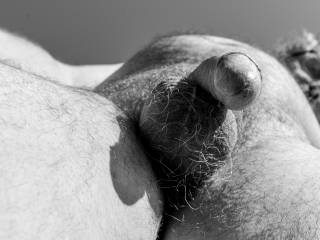 dick