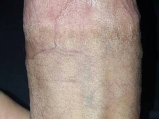 Do you like ?