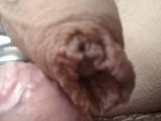 Close up of my foreskin