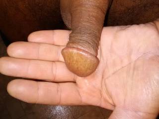 just another little dick pic.for anyone who likes tiny dicks