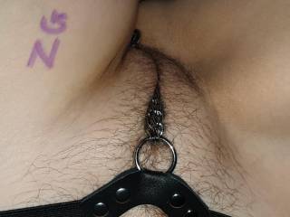 There's a split in the chain for your cock to fit through, come fuck me hard