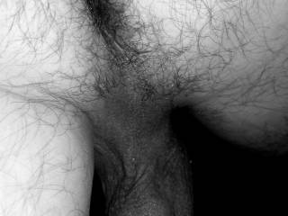 Would you lick my hairy hole?