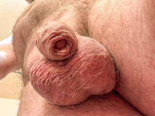 dick