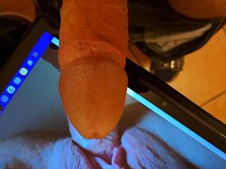 tribute to naughtyl84