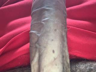 Ma queue bien dure sur le chat