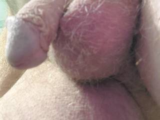 Letting them get a little fuzzy again