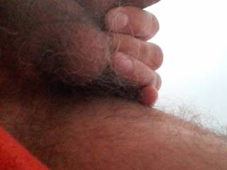 Do you like to suck my bolls
