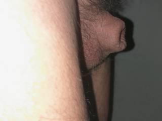 Is it tiny or micro?
