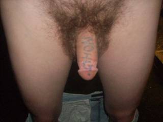 zoig