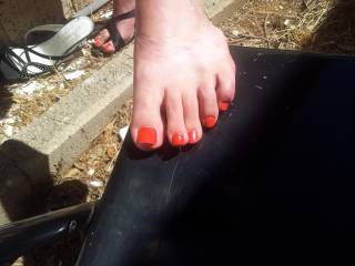love to see my toes in the sun
