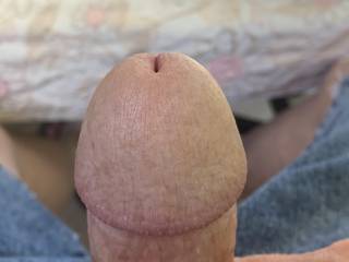 My cock head.