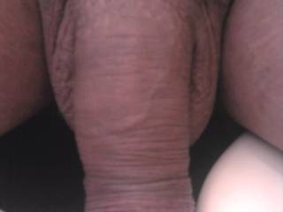 pene en reposo