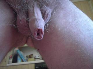 Here is another pic of my foreskin..lol..some of you ladies really seem to like it..Tell me what you want to do with it?