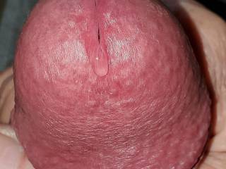 Big hard dick cock head with pre-cum close-up