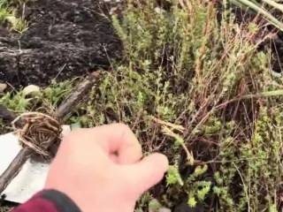 enjoying the great outdoors got horny on my hiking trip had to cum