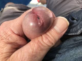 Leaking my sweet pre cum looking at all the sexy Zoig people. Wanna taste?