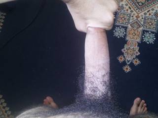 come suck it bb