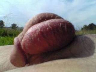 Out of Lovolust's Blusheroticon; subject: Snail No.4, Cochlea generalis ventris! This is: extraordinary porn-art with my extremely exercised and hardened sexicity device! - real, unfaked, true, genuine pix - it is fun (and) for the Women!