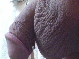 Just a close up pic of my pireced limp dick !