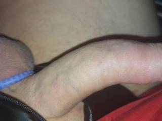 cock
