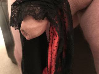 Smooth cock and balls draped in my wife\'s red silk polkadot & black lace panties.