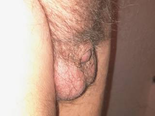 Hairy Balls and tiny cock.