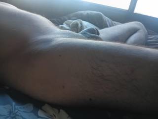 penis