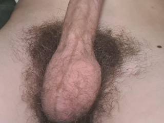 My hairy Penis