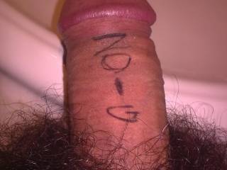 Advertising ZOIG!