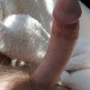 coyotesam's profile
