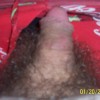 boobyseeker6's profile