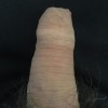 's profile