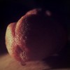 mac576's profile
