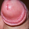's profile