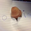 sam66132's profile