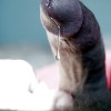 trvlinbimale's profile