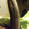 daman31's profile