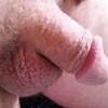 's profile