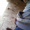 samersimo's profile