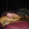 's profile