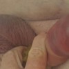 UpForItZimbabwe's profile