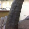 's profile